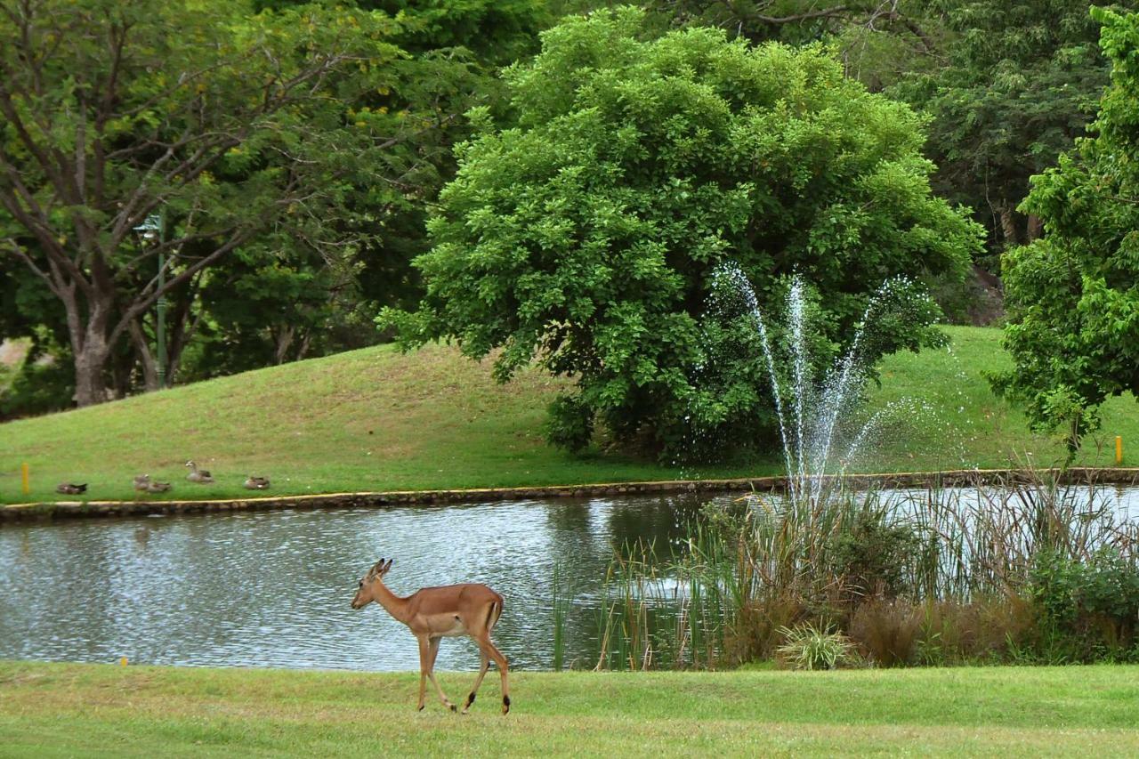 Kruger Park Lodge Unit No. 524 ヘイジービュー エクステリア 写真